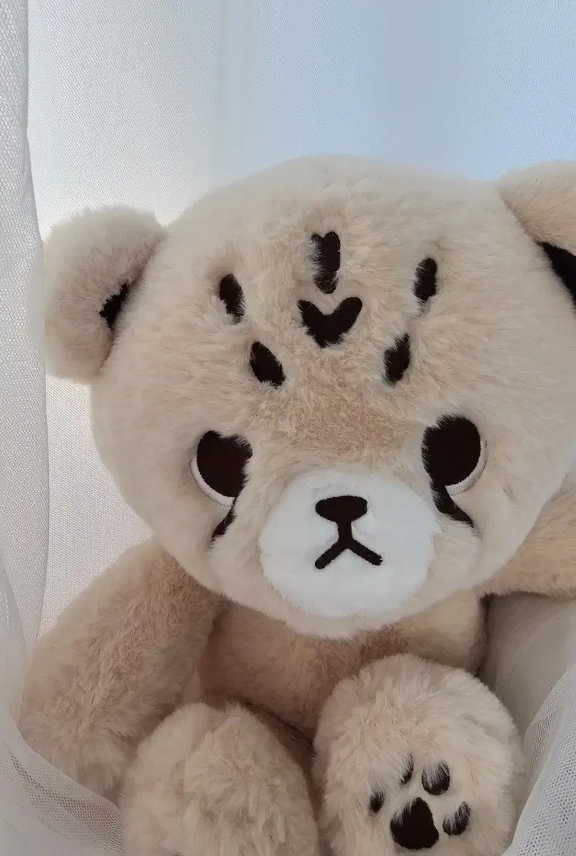 nct 마크 인형 치타리 40cm | 브랜드 중고거래 플랫폼, 번개장터